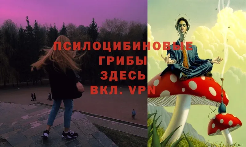 Галлюциногенные грибы Magic Shrooms  Алапаевск 